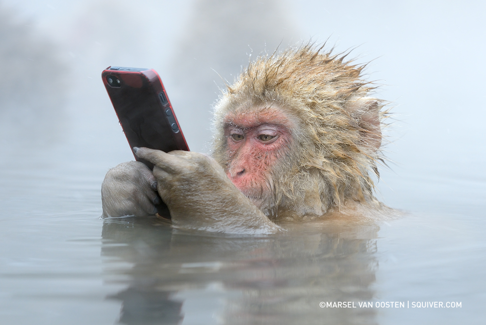 Marsel Von Oosten