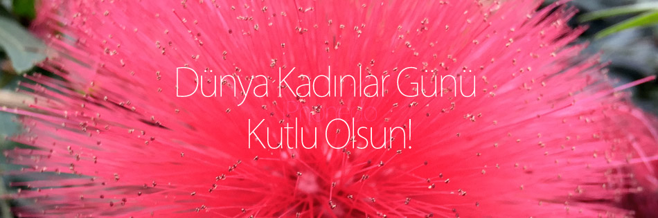 DunyaKadinlarGunu